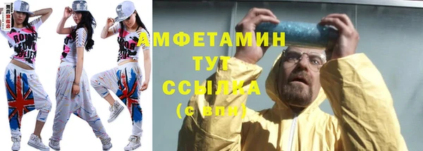 хмурый Белокуриха