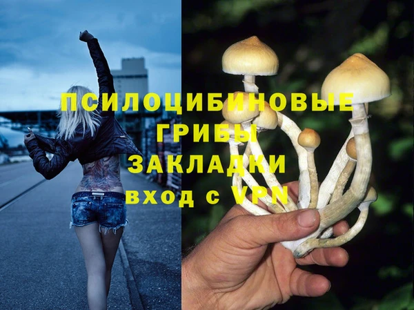 мдпв Баксан